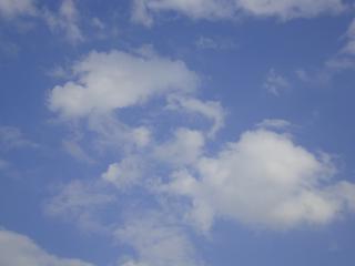 DSC06804.JPG