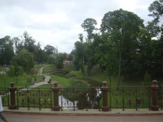 DSC06886.JPG