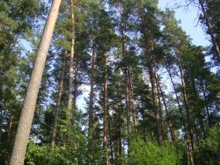 DSC06807.JPG