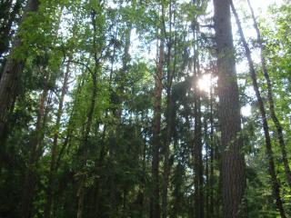 DSC06790.JPG