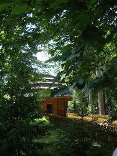 DSC06678.JPG