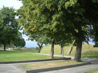 DSC07096.JPG