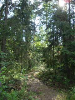 DSC06798.JPG
