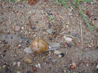DSC07014.JPG