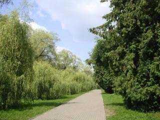 DSC06577.JPG