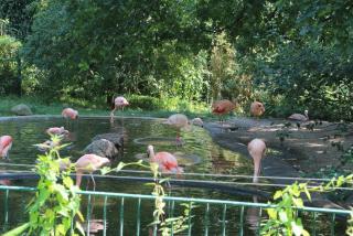 IMG_1578.JPG