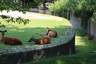 IMG_1596.JPG