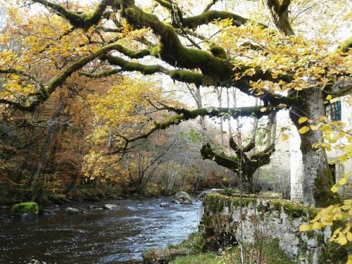 2015-10-29 15.52.34.jpg