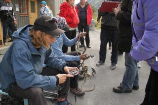IMG_5908.JPG