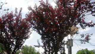 DSC00130.JPG
