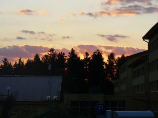 P1190934.JPG