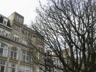 17.04.2013_3246.JPG