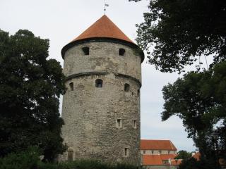 IMG_2775.JPG