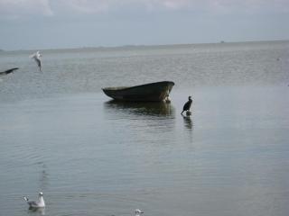 IMG_3044.JPG