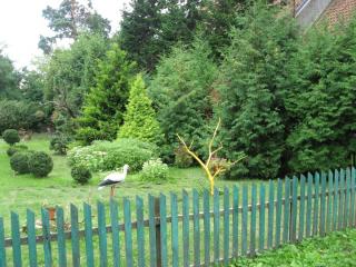 IMG_3083.JPG