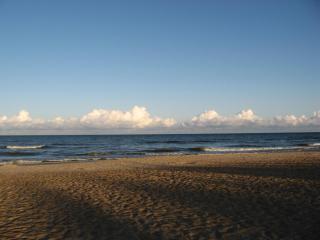 IMG_3153.JPG