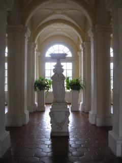 IMG_2832.JPG