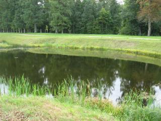 IMG_2947.JPG