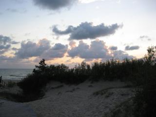 IMG_3131.JPG
