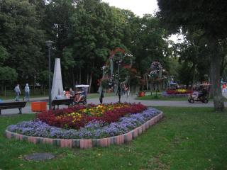 IMG_2913.JPG