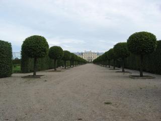 IMG_2946.JPG