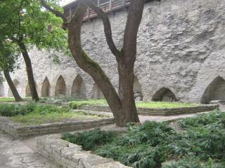 IMG_2714.JPG