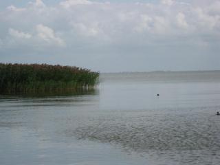 IMG_3036.JPG