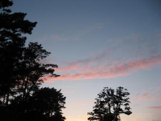 IMG_2920.JPG
