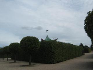 IMG_2788.JPG