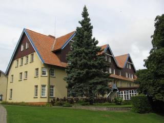IMG_3074.JPG