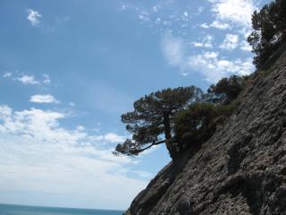 27.06.2012_073.JPG