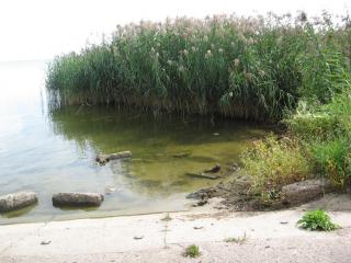IMG_3046.JPG