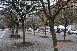 16.04.2013_0335.JPG