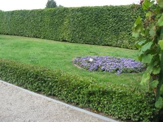 IMG_2795.JPG