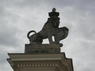 IMG_2829.JPG