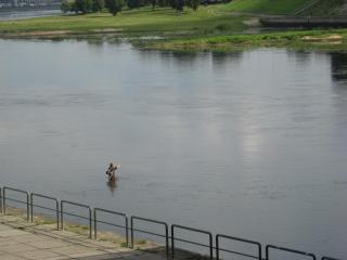 IMG_3267.JPG