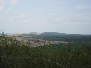 IMG_3010.JPG