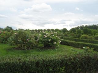 IMG_2772.JPG