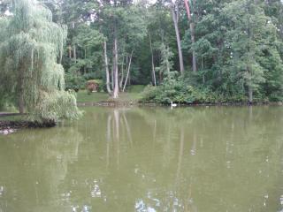 IMG_2881.JPG