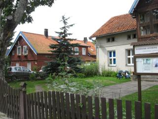 IMG_3066.JPG