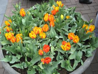 17.04.2013_3245.JPG