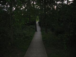 IMG_3129.JPG