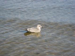 IMG_4122.JPG