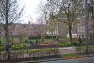 17.04.2013_0444.JPG