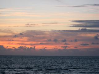 IMG_2931.JPG