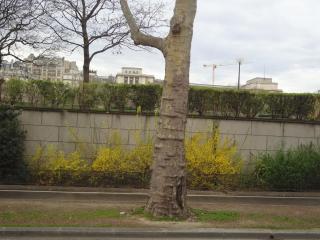 DSC03369.JPG