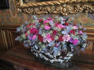 IMG_4327.JPG
