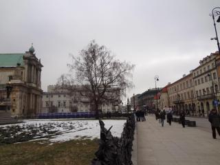DSC02477.JPG