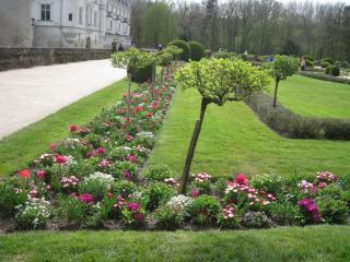 IMG_4363.JPG