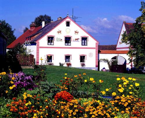 nagy_523_holasovice.jpg